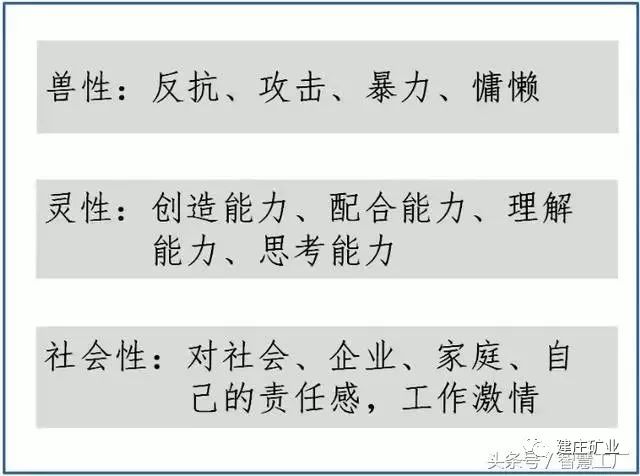 嗤之以鼻:2025澳门特马今晚,仔细释义、解释与落实