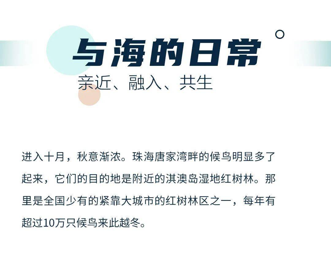 戒备:新澳天天开奖资料大全最新100期,的全面释义、解释与落实